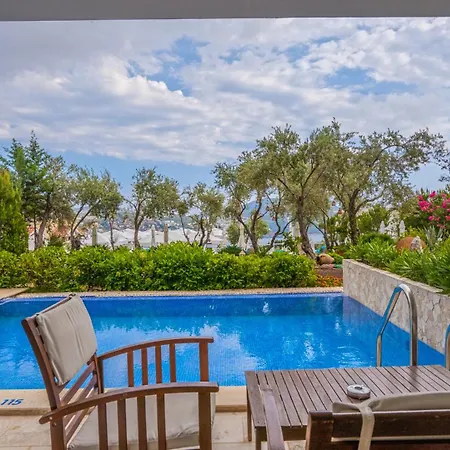 Oasis (adults Only) 2* קלקן