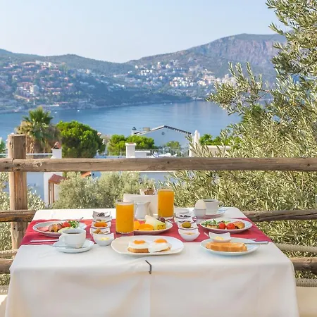 Oasis (adults Only) Hotel