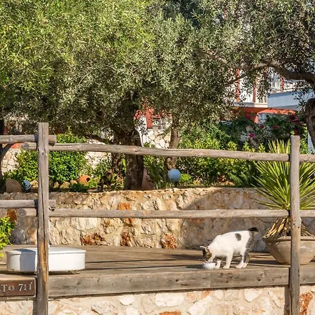 Hotel Oasis (adults Only) 2*