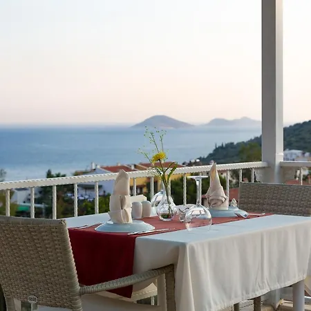 Oasis (adults Only) 2* Kalkan
