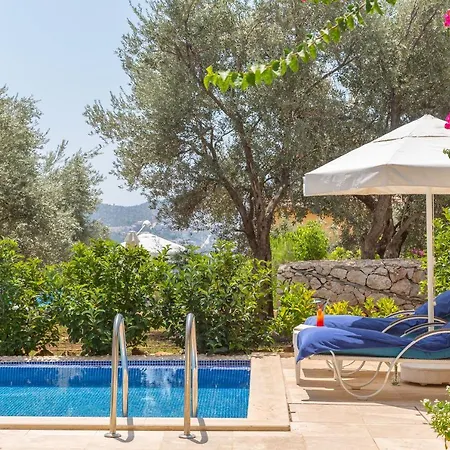Hotel Oasis (adults Only) Kalkan