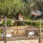 Hotel Oasis (adults Only) 2*