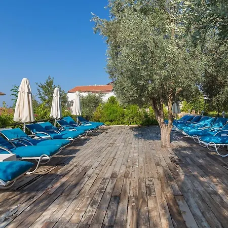 Oasis (adults Only) 2*