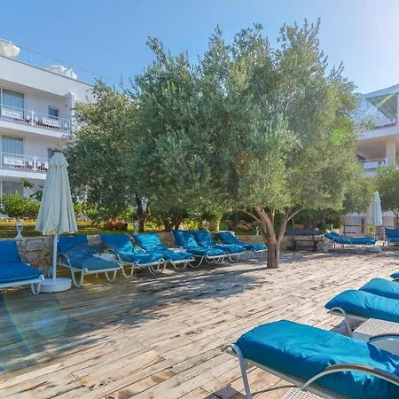 Hotel Oasis (adults Only)