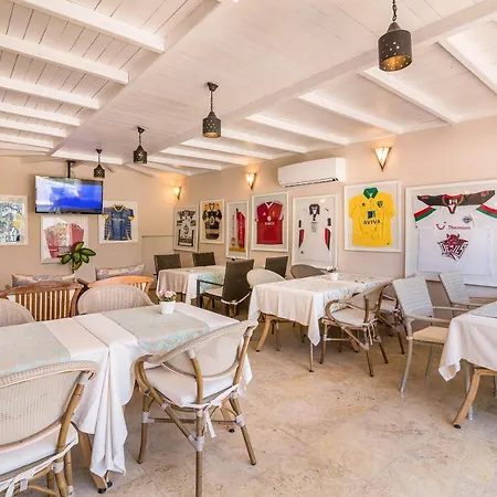 Oasis (adults Only)