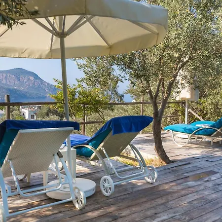 Oasis (adults Only) 2*