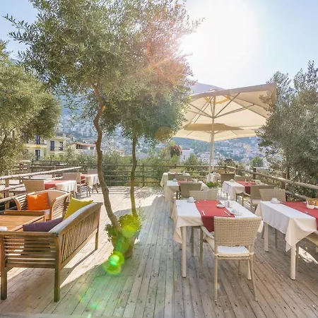 Oasis (adults Only) 2* Kalkan