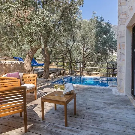 Oasis (adults Only) 2*