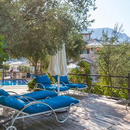 فندق Oasis (adults Only) 2*